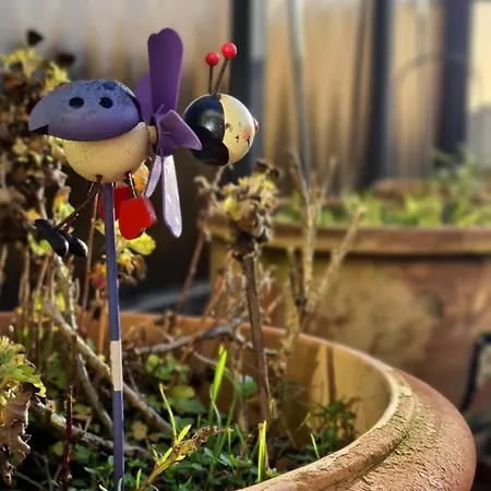 Apartmán Le Penthouse De Kelly