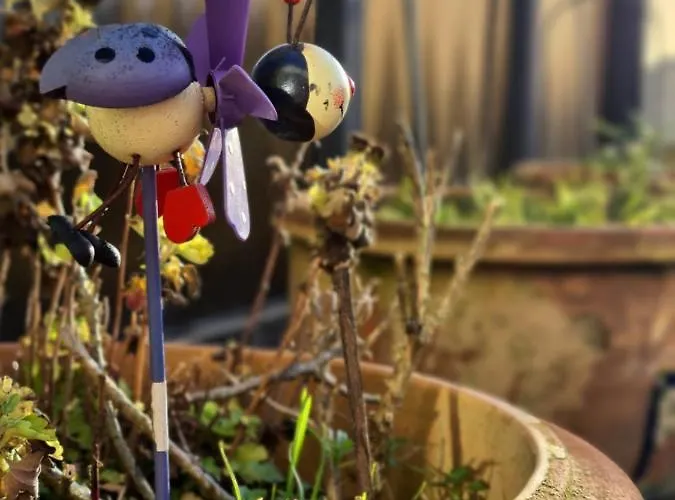 Appartement Le Penthouse De Kelly